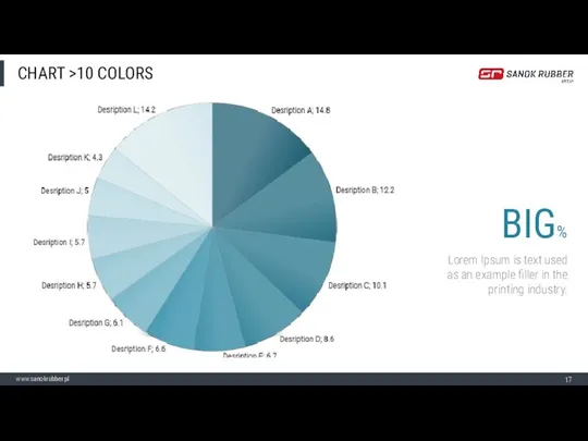 CHART >10 COLORS BIG% Lorem Ipsum is text used as an