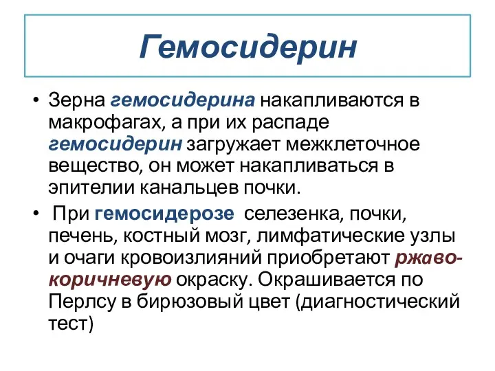 Гемосидерин Зерна гемосидерина накапливаются в макрофагах, а при их распаде гемосидерин