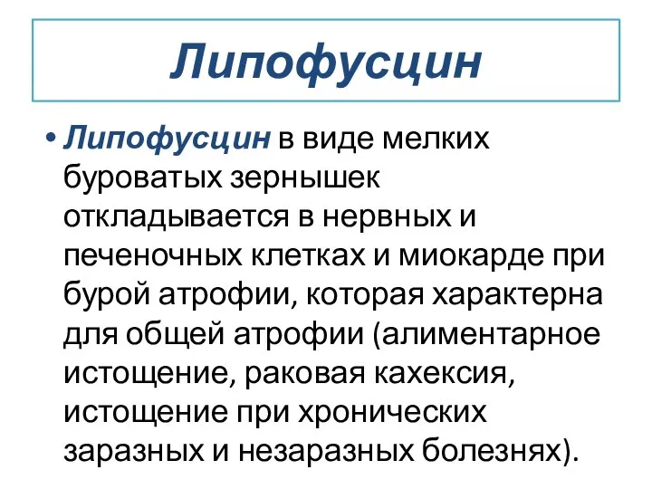 Липофусцин Липофусцин в виде мелких буроватых зернышек откладывается в нервных и