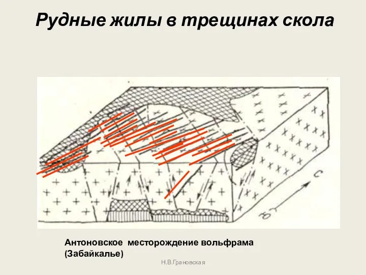 Н.В.Грановская Рудные жилы в трещинах скола Антоновское месторождение вольфрама (Забайкалье)