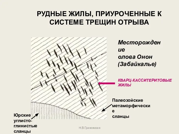 Н.В.Грановская РУДНЫЕ ЖИЛЫ, ПРИУРОЧЕННЫЕ К СИСТЕМЕ ТРЕЩИН ОТРЫВА Месторождение олова Онон