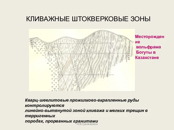 Н.В.Грановская КЛИВАЖНЫЕ ШТОКВЕРКОВЫЕ ЗОНЫ Кварц-шеелитовые прожилково-вкрапленные руды контролируются линейно-вытянутой зоной кливажа