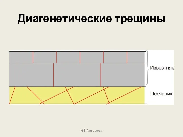 Диагенетические трещины Н.В.Грановская