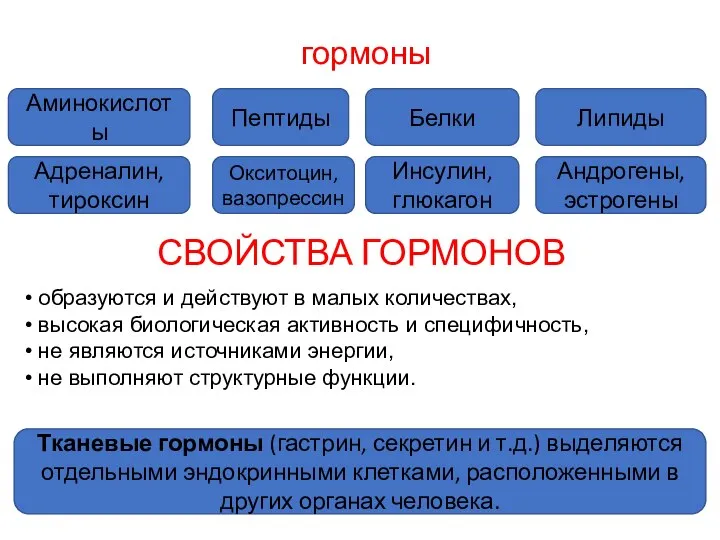 гормоны Аминокислоты Пептиды Липиды Белки Окситоцин, вазопрессин Инсулин, глюкагон Андрогены, эстрогены