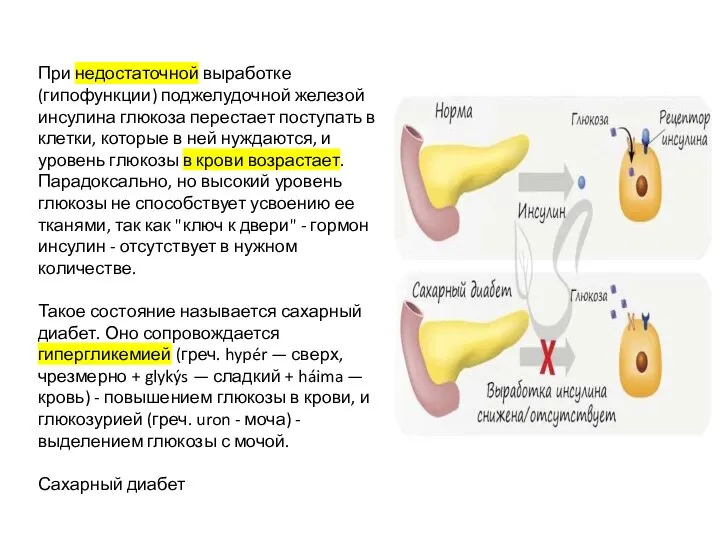 При недостаточной выработке (гипофункции) поджелудочной железой инсулина глюкоза перестает поступать в