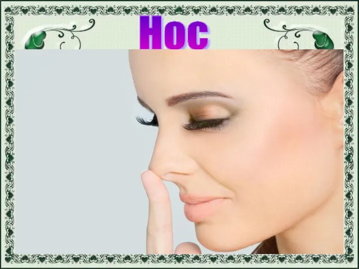 Нос