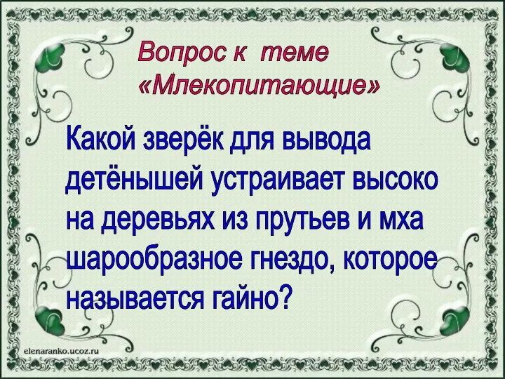 Вопрос к теме «Млекопитающие» Какой зверёк для вывода детёнышей устраивает высоко