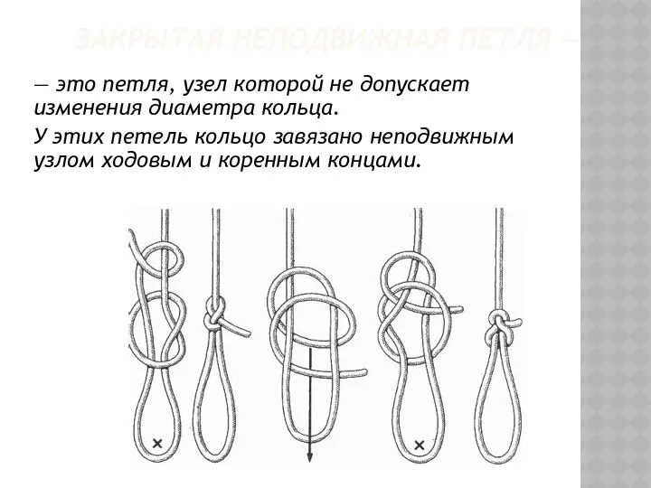 ЗАКРЫТАЯ НЕПОДВИЖНАЯ ПЕТЛЯ — — это петля, узел которой не допускает