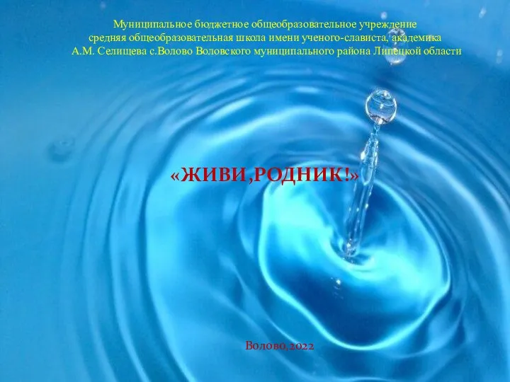 Муниципальное бюджетное общеобразовательное учреждение средняя общеобразовательная школа имени ученого-слависта, академика А.М.