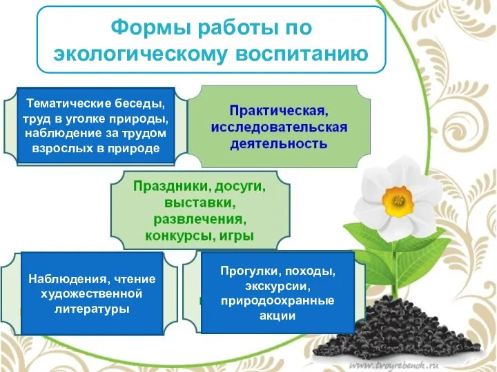 Прогулки, походы, экскурсии, природоохранные акции Тематические беседы, труд в уголке природы,