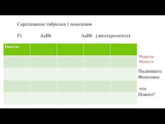 Скрещивание гибридов 1 поколения F1 AaBb AaBb (дигетерозигота) Подпишите Фенотипы что Нового? Решетка Пенетта