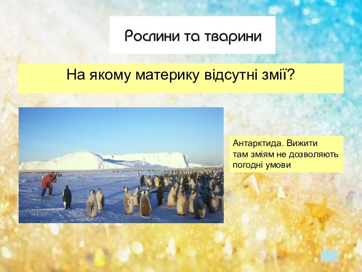 На якому материку відсутні змії? Антарктида. Вижити там зміям не дозволяють погодні умови