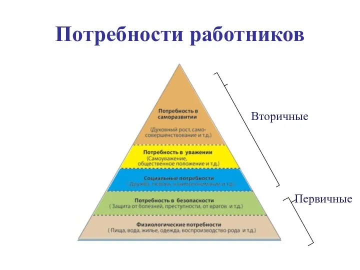 Потребности работников Вторичные Первичные