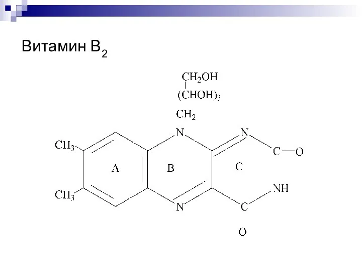 Витамин В2