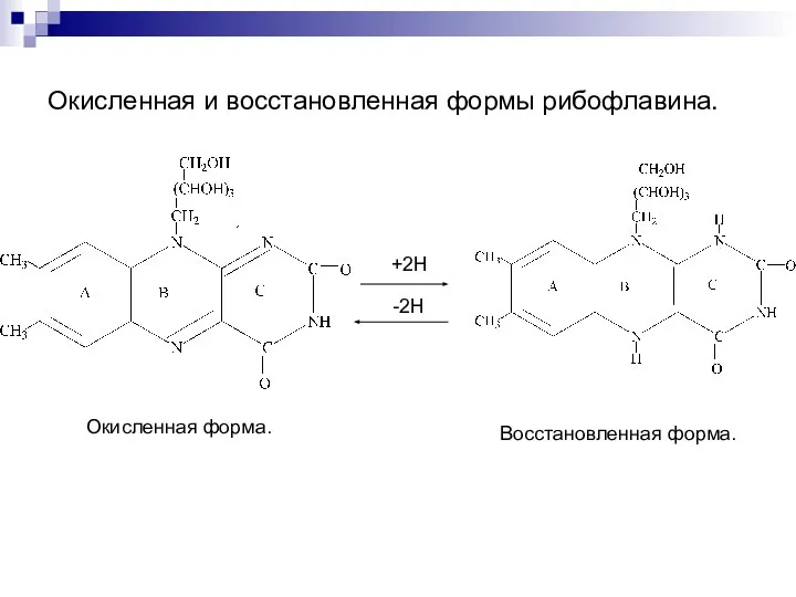 Окисленная и восстановленная формы рибофлавина. Окисленная форма. Восстановленная форма.