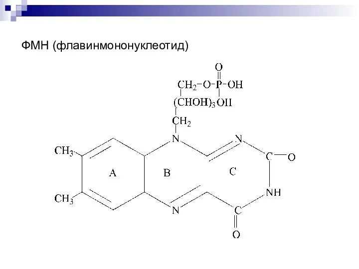 ФМН (флавинмононуклеотид)