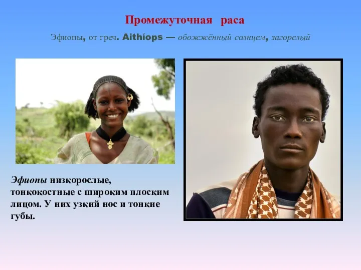Промежуточная раса Эфиопы, от греч. Aithíops — обожжённый солнцем, загорелый Эфиопы