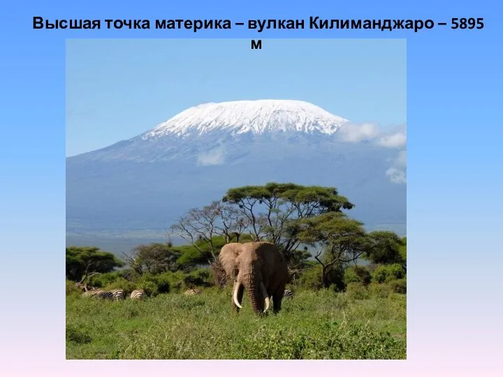 Высшая точка материка – вулкан Килиманджаро – 5895 м