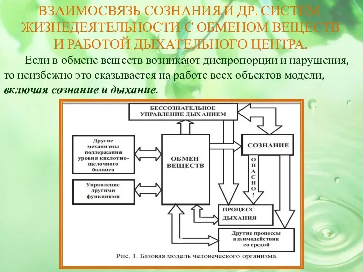 ВЗАИМОСВЯЗЬ СОЗНАНИЯ И ДР. СИСТЕМ ЖИЗНЕДЕЯТЕЛЬНОСТИ С ОБМЕНОМ ВЕЩЕСТВ И РАБОТОЙ