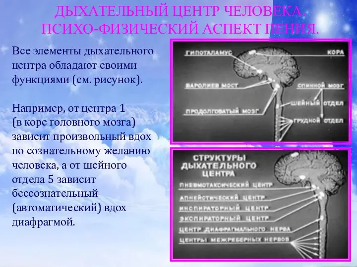 ДЫХАТЕЛЬНЫЙ ЦЕНТР ЧЕЛОВЕКА. ПСИХО-ФИЗИЧЕСКИЙ АСПЕКТ ПЕНИЯ. Все элементы дыхательного центра обладают