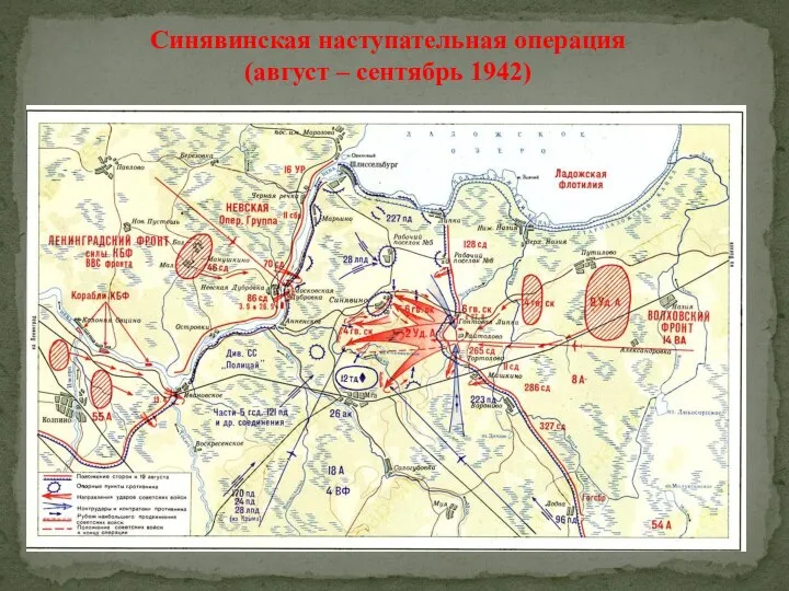 Синявинская наступательная операция (август – сентябрь 1942)