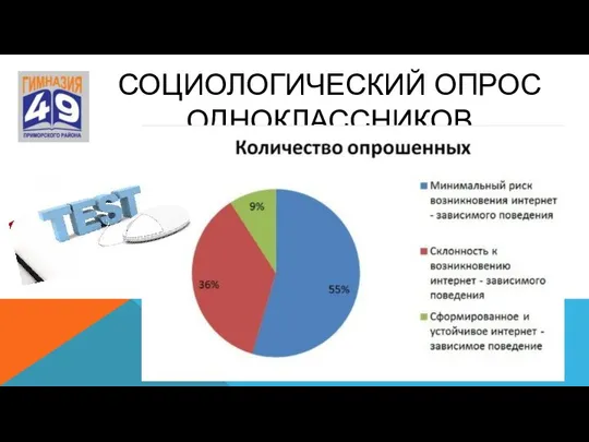 СОЦИОЛОГИЧЕСКИЙ ОПРОС ОДНОКЛАССНИКОВ