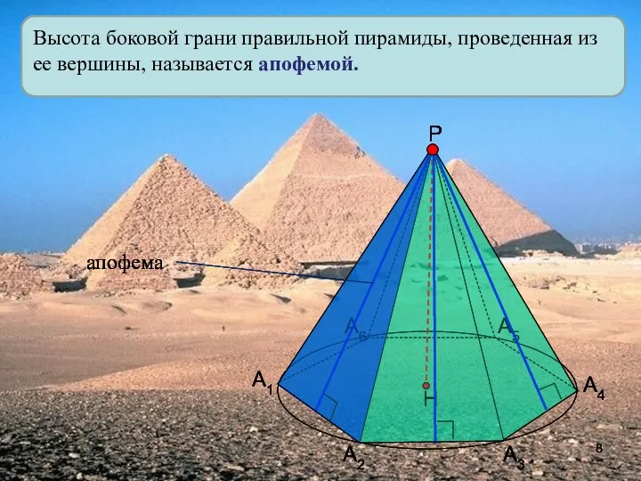 Высота боковой грани правильной пирамиды, проведенная из ее вершины, называется апофемой.