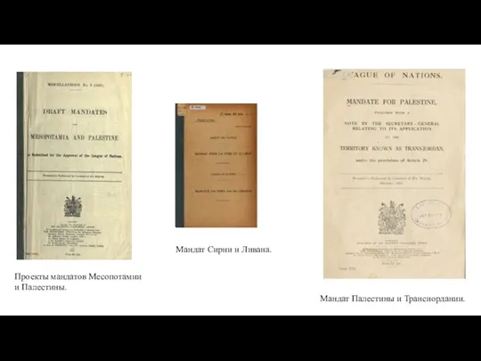 Мандат Палестины и Трансиордании. Мандат Сирии и Ливана. Проекты мандатов Месопотамии и Палестины.