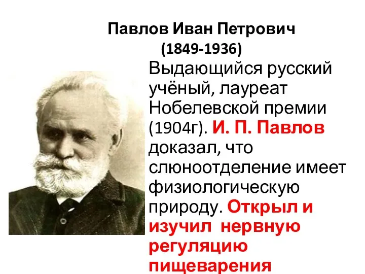 Павлов Иван Петрович (1849-1936) Выдающийся русский учёный, лауреат Нобелевской премии (1904г).