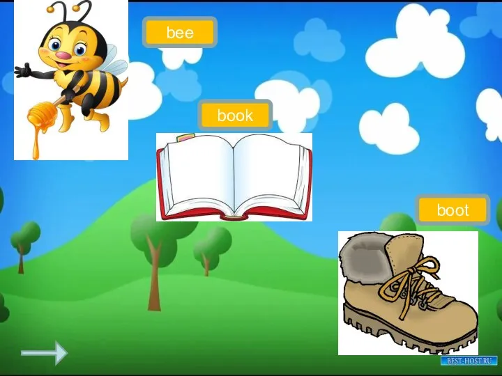 bee boot book