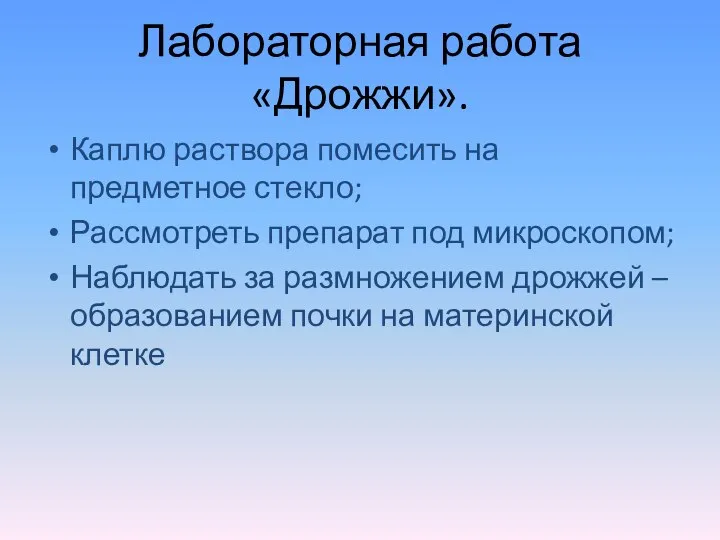 Лабораторная работа «Дрожжи». Каплю раствора помесить на предметное стекло; Рассмотреть препарат