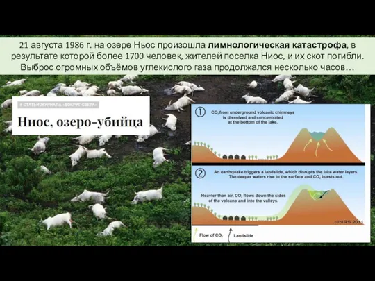 21 августа 1986 г. на озере Ньос произошла лимнологическая катастрофа, в