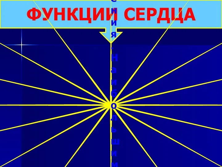 ФУНКЦИИ СЕРДЦА Автоматизм — способность клеток миокарда генерировать ПД без внешнего