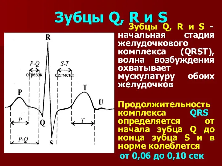 Зубцы Q, R и S Зубцы Q, R и S -