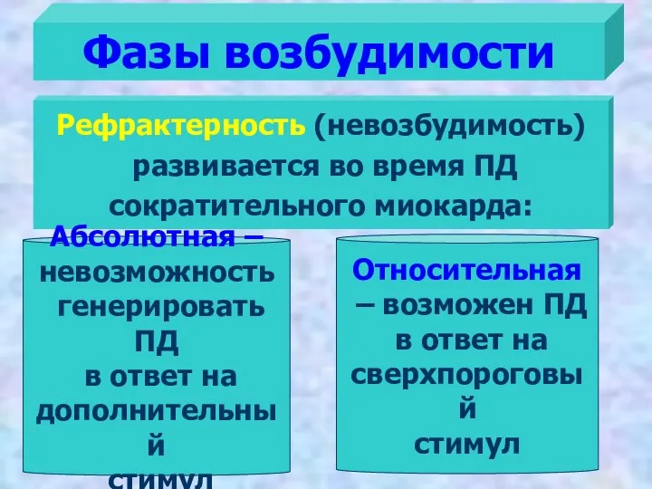 Фазы возбудимости Рефрактерность (невозбудимость) развивается во время ПД сократительного миокарда: Абсолютная