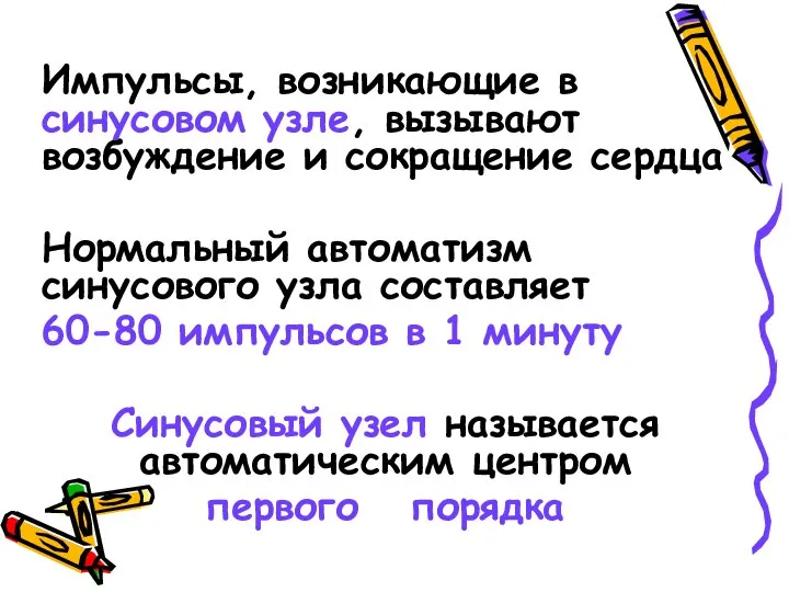 Импульсы, возникающие в синусовом узле, вызывают возбуждение и сокращение сердца Нормальный