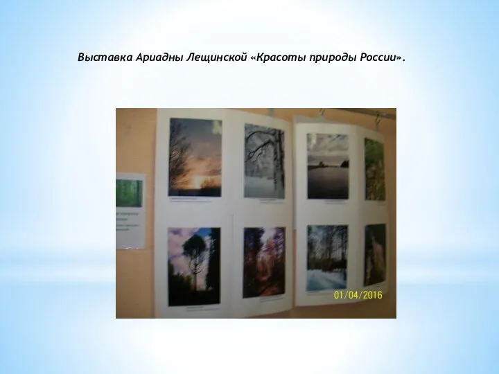 Выставка Ариадны Лещинской «Красоты природы России».