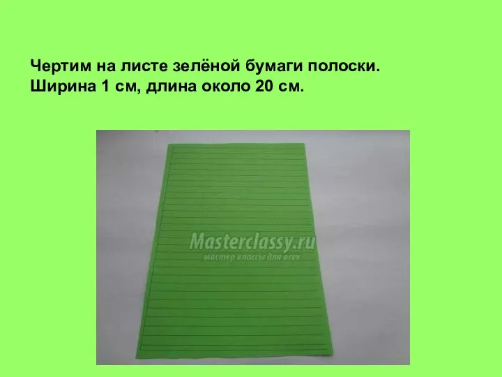 Чертим на листе зелёной бумаги полоски. Ширина 1 см, длина около 20 см.