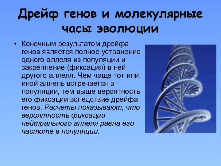 Дрейф генов и молекулярные часы эволюции Конечным результатом дрейфа генов является