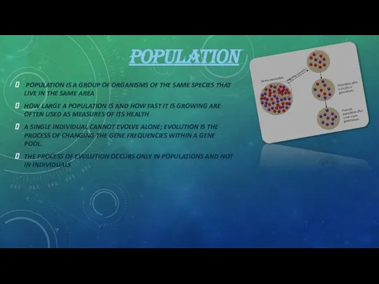 POPULATION POPULATION IS A GROUP OF ORGANISMS OF THE SAME SPECIES