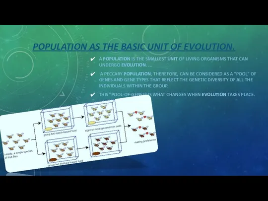 POPULATION AS THE BASIC UNIT OF EVOLUTION. A POPULATION IS THE