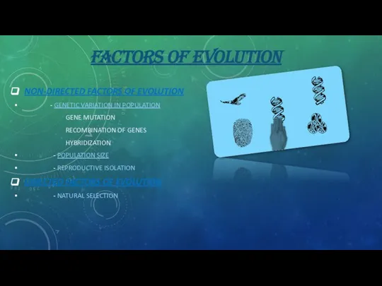 FACTORS OF EVOLUTION NON-DIRECTED FACTORS OF EVOLUTION - GENETIC VARIATION IN