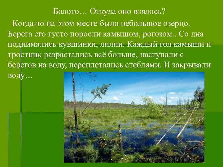 Болото… Откуда оно взялось? Когда-то на этом месте было небольшое озерцо.