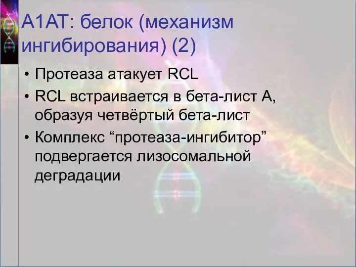 А1АТ: белок (механизм ингибирования) (2) Протеаза атакует RCL RCL встраивается в