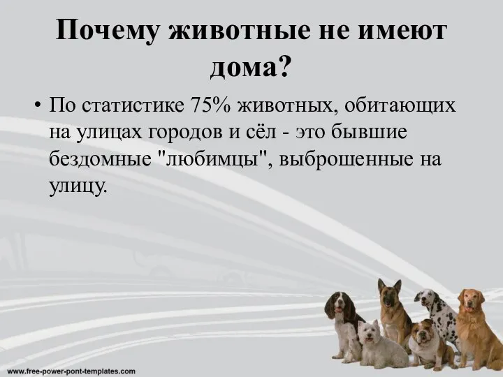 Почему животные не имеют дома? По статистике 75% животных, обитающих на