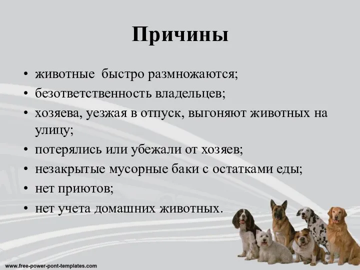 Причины животные быстро размножаются; безответственность владельцев; хозяева, уезжая в отпуск, выгоняют