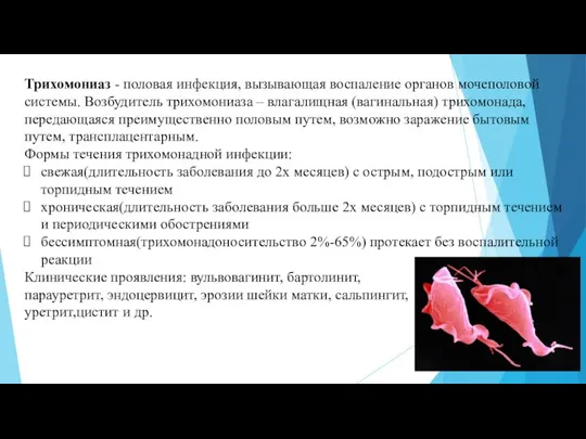 Трихомониаз - половая инфекция, вызывающая воспаление органов мочеполовой системы. Возбудитель трихомониаза