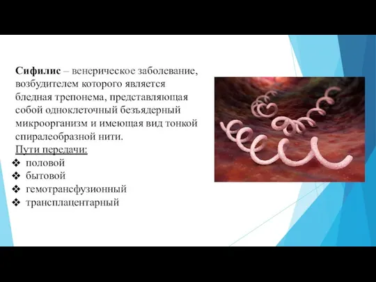 Сифилис – венерическое заболевание, возбудителем которого является бледная трепонема, представляющая собой