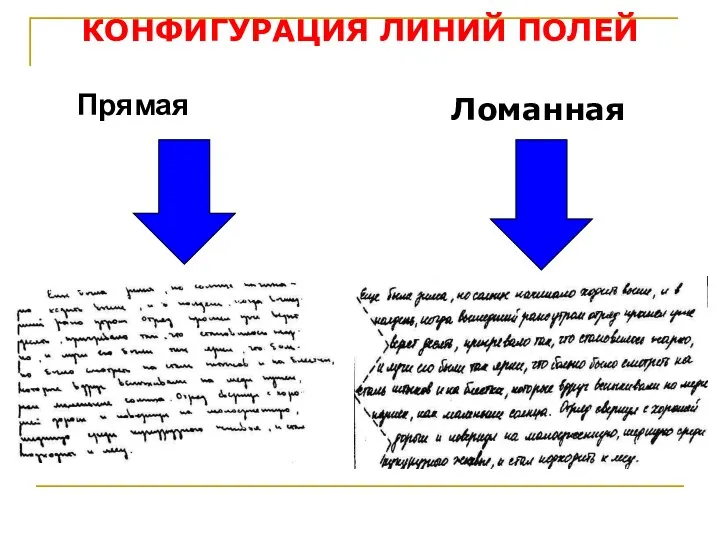 Прямая Ломанная КОНФИГУРАЦИЯ ЛИНИЙ ПОЛЕЙ