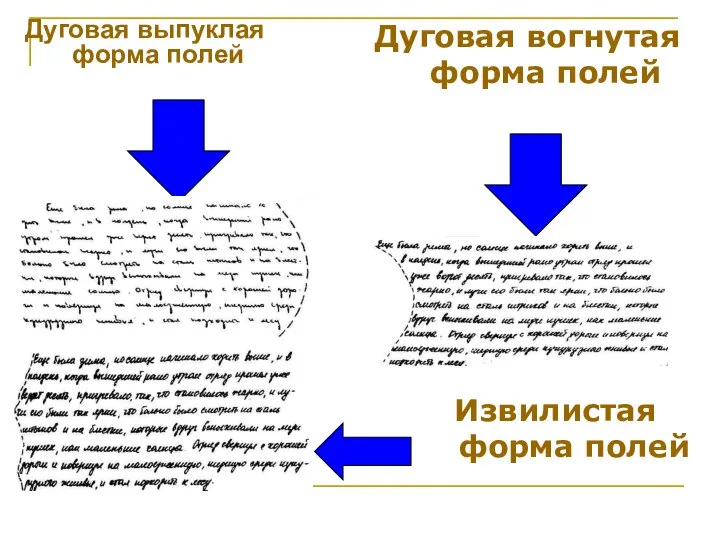 Дуговая выпуклая форма полей Дуговая вогнутая форма полей Извилистая форма полей